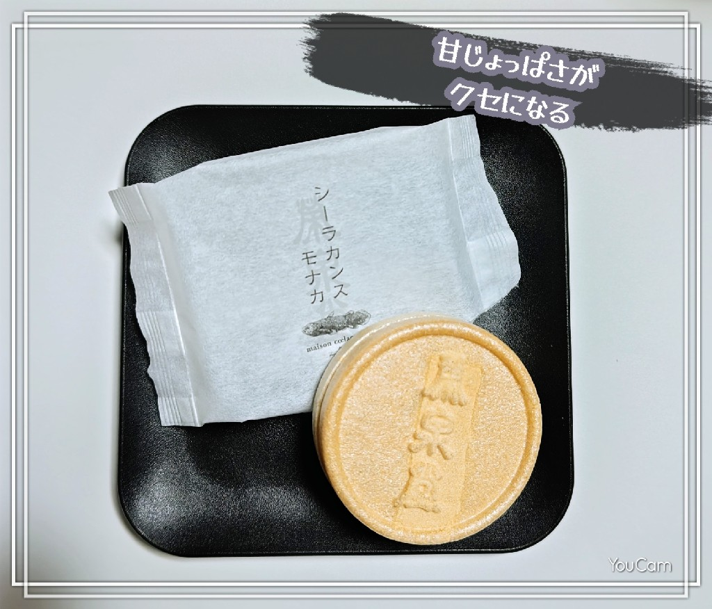 【ふるさと納税】【数量限定】シーラカンス モナカ/簡易箱6個入【最中 仙台市 お土産 和菓子 スイーツ 高級菓子 デザート プレミアム 和 ...
