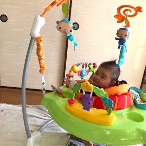 レインフォレスト ジャンパルー 2 フィッシャープライス Fisher Price おもちゃ 遊具 ベビージム メリー ジャンパルー 室内遊具 Room 欲しい に出会える