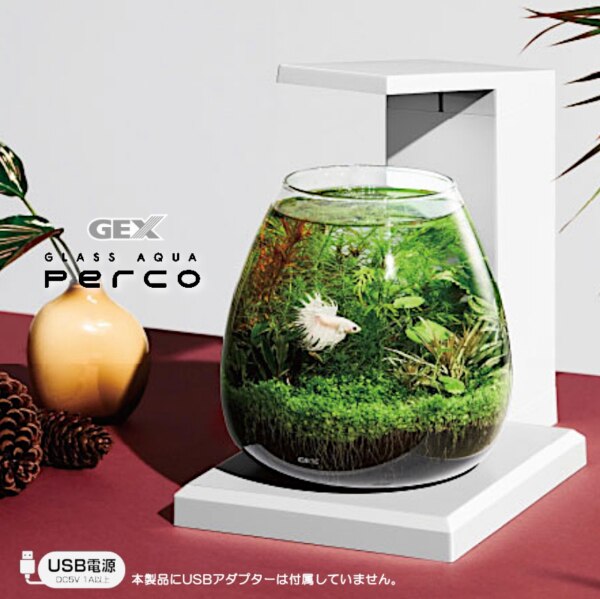 水槽セット】熱帯魚 水槽セット グラスアクア PERCO T-WH 約6L 