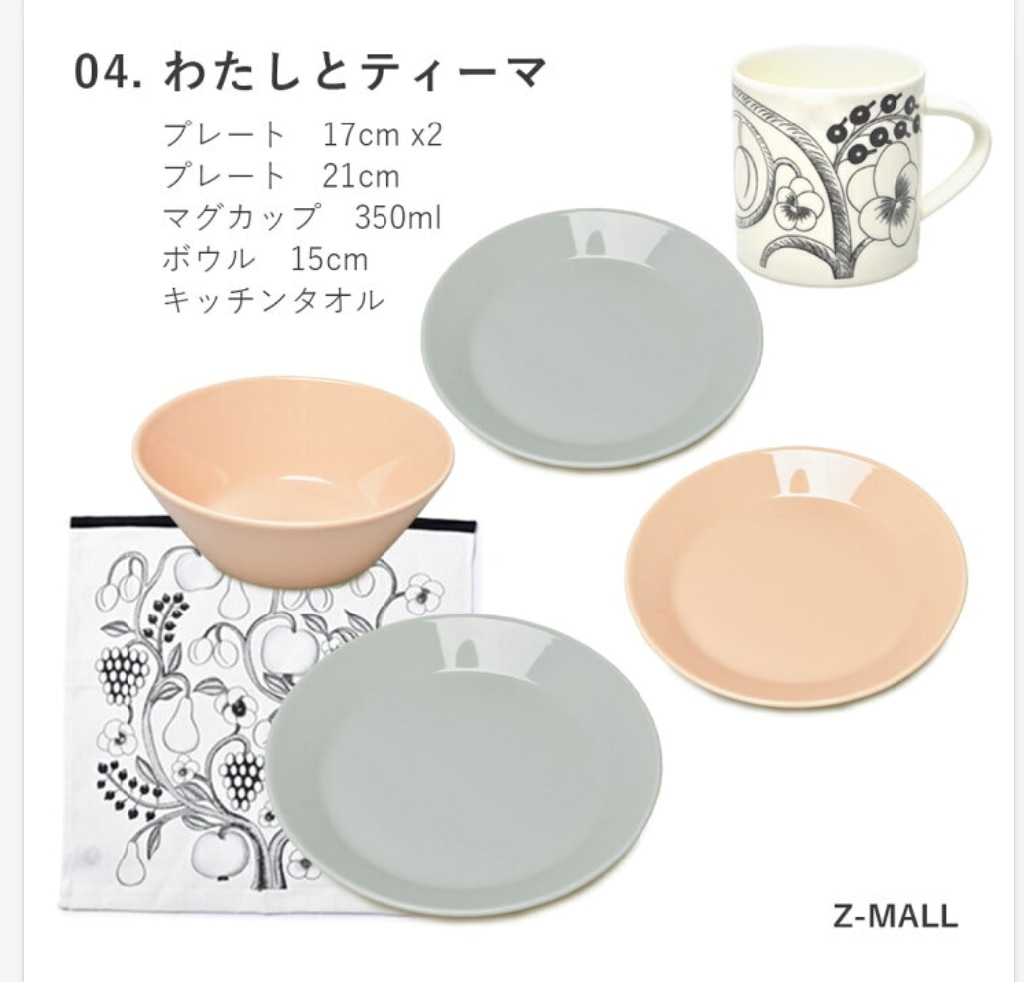 Arabia iittala イッタラ ティーマ ソルト ペッパー スパイス4点 - 食器