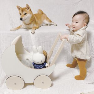 柴犬りんご郎 Familyのroom 欲しい に出会える