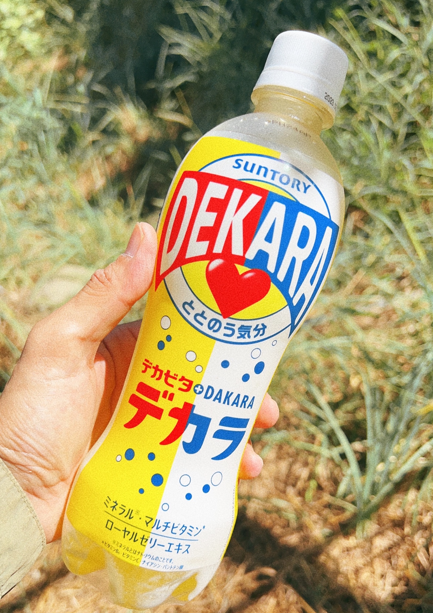 スポーツドリンク 炭酸飲料 送料無料 サントリー DEKARA デカラ 500ml