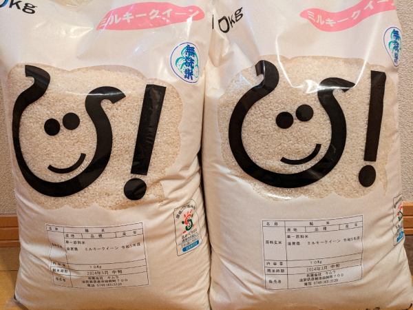 無洗米 福袋米 20kg(10kg×2袋) 令和6年 滋賀県産 米 お米 1品種