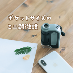 きなこ（育児と暮らしを楽しむアイテム） のROOM - 欲しい! に