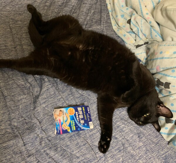 デルガード 鼻通りスッキリ! 鼻呼吸が楽になる鼻腔拡張テープ ベージュ 