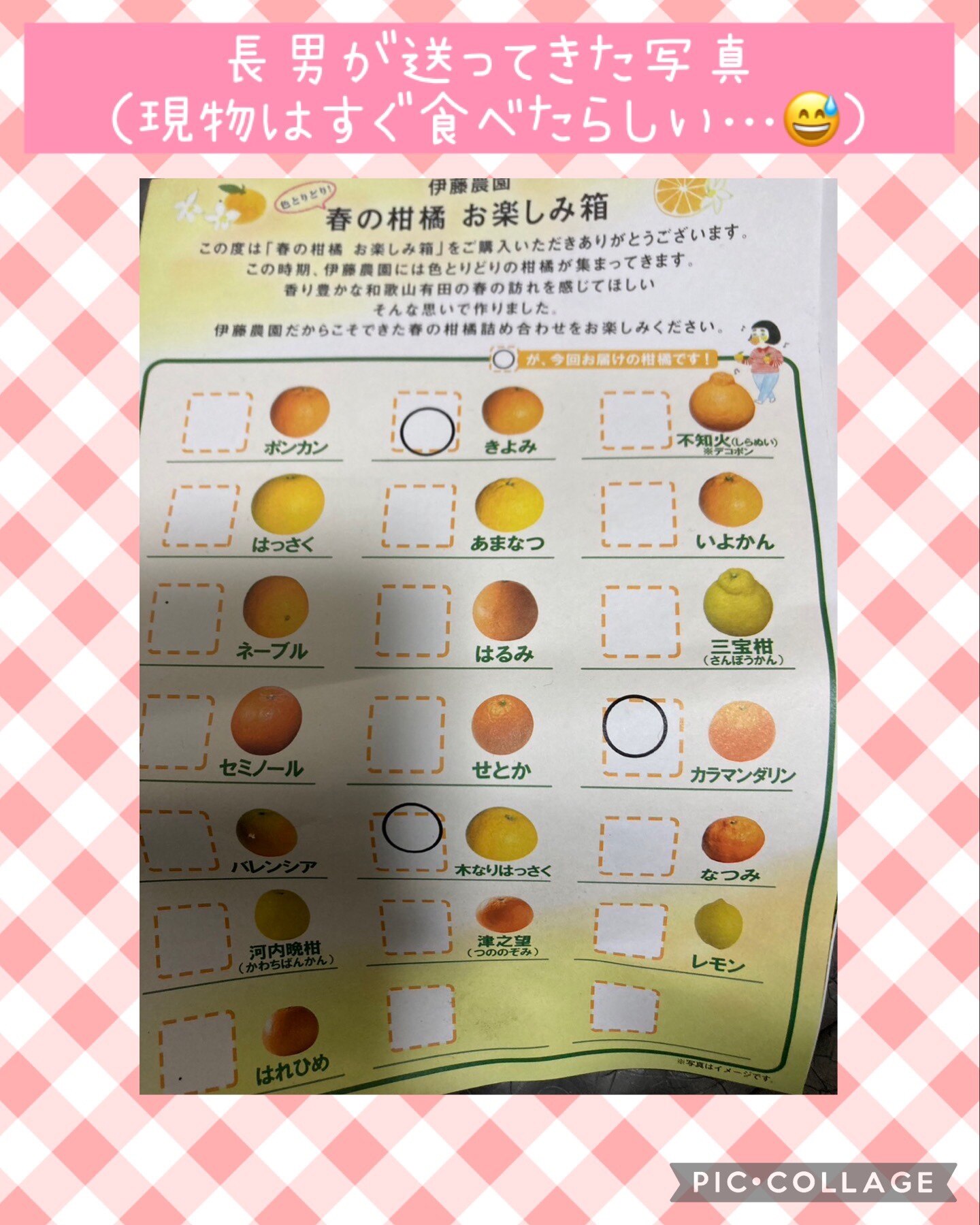 期間限定SALE☆2,340円⇒1,980円】＼2箱購入で5kg分送料無料 3箱