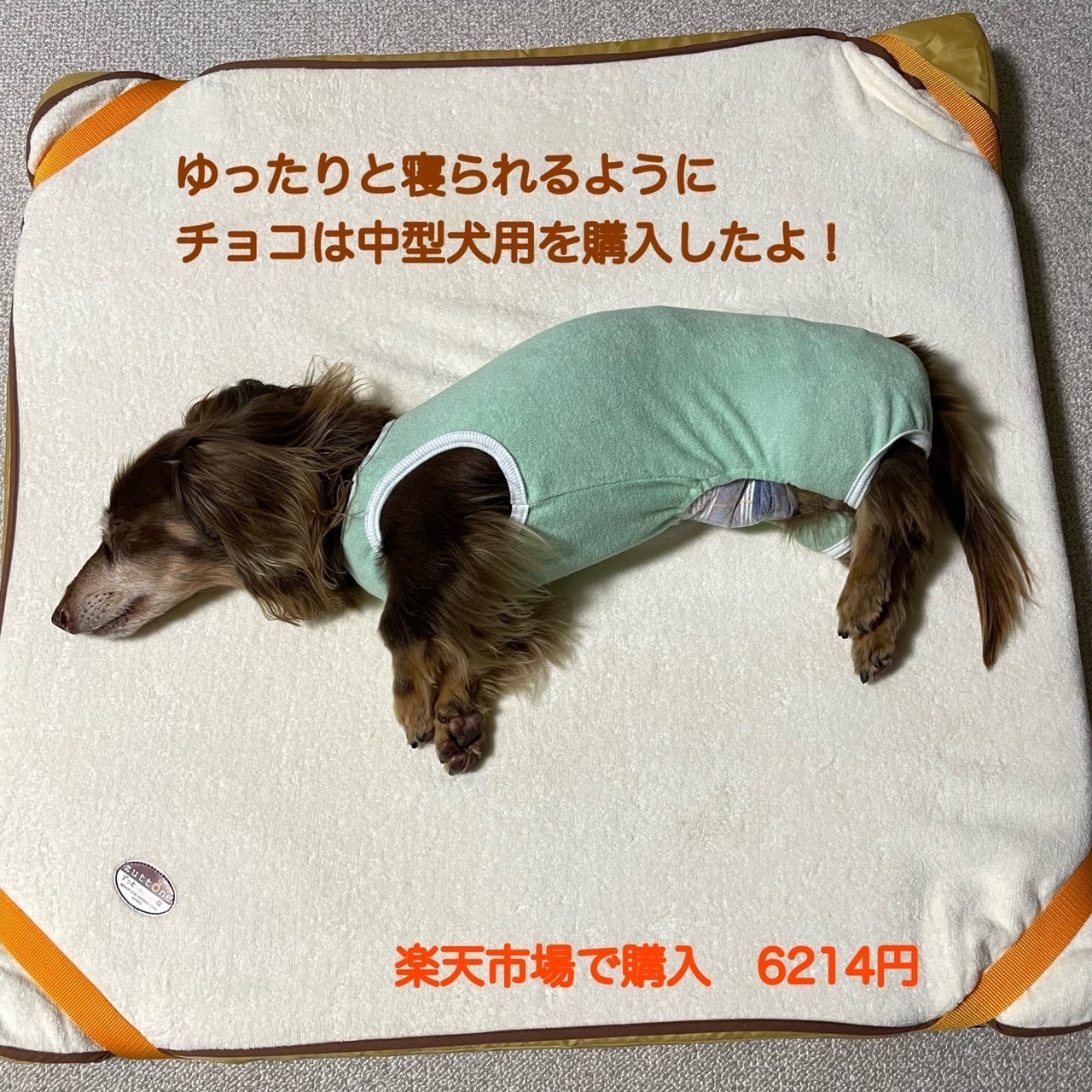 ペティオ[Petio] ずっとね 老犬介護用 マットタオル付き床ずれ予防 