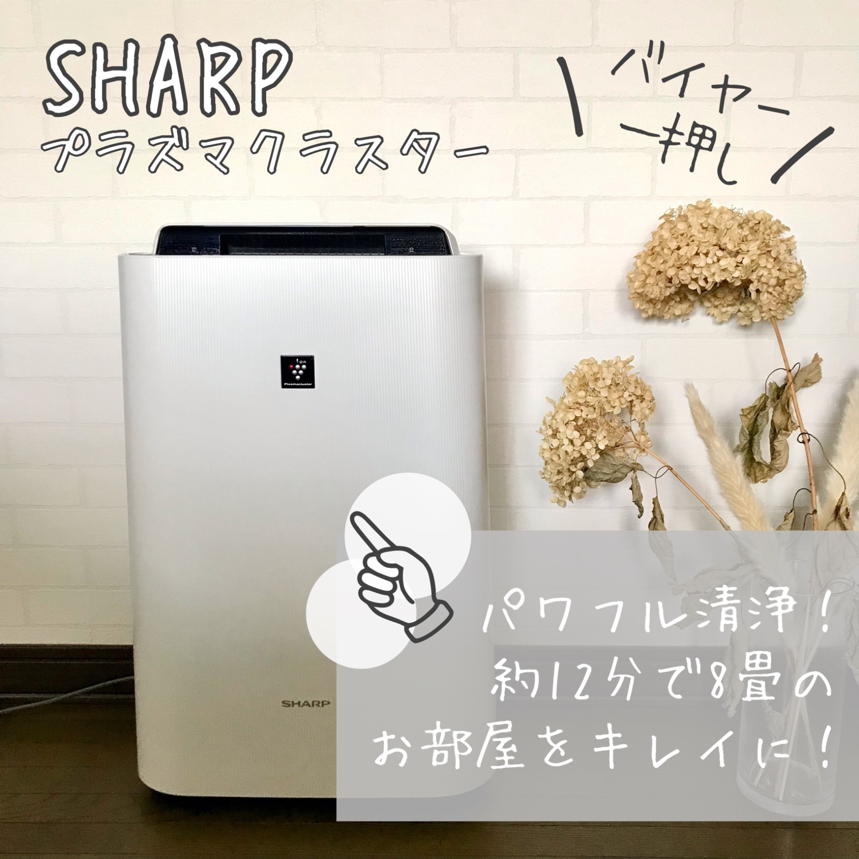 オンラインストアサイト SHARP シャープ 空気清浄機 23畳 プラズマ