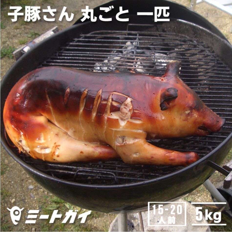 豚丸焼きに 仔豚 子豚さん丸ごと1匹 冷凍 生 雑誌掲載商品 P108