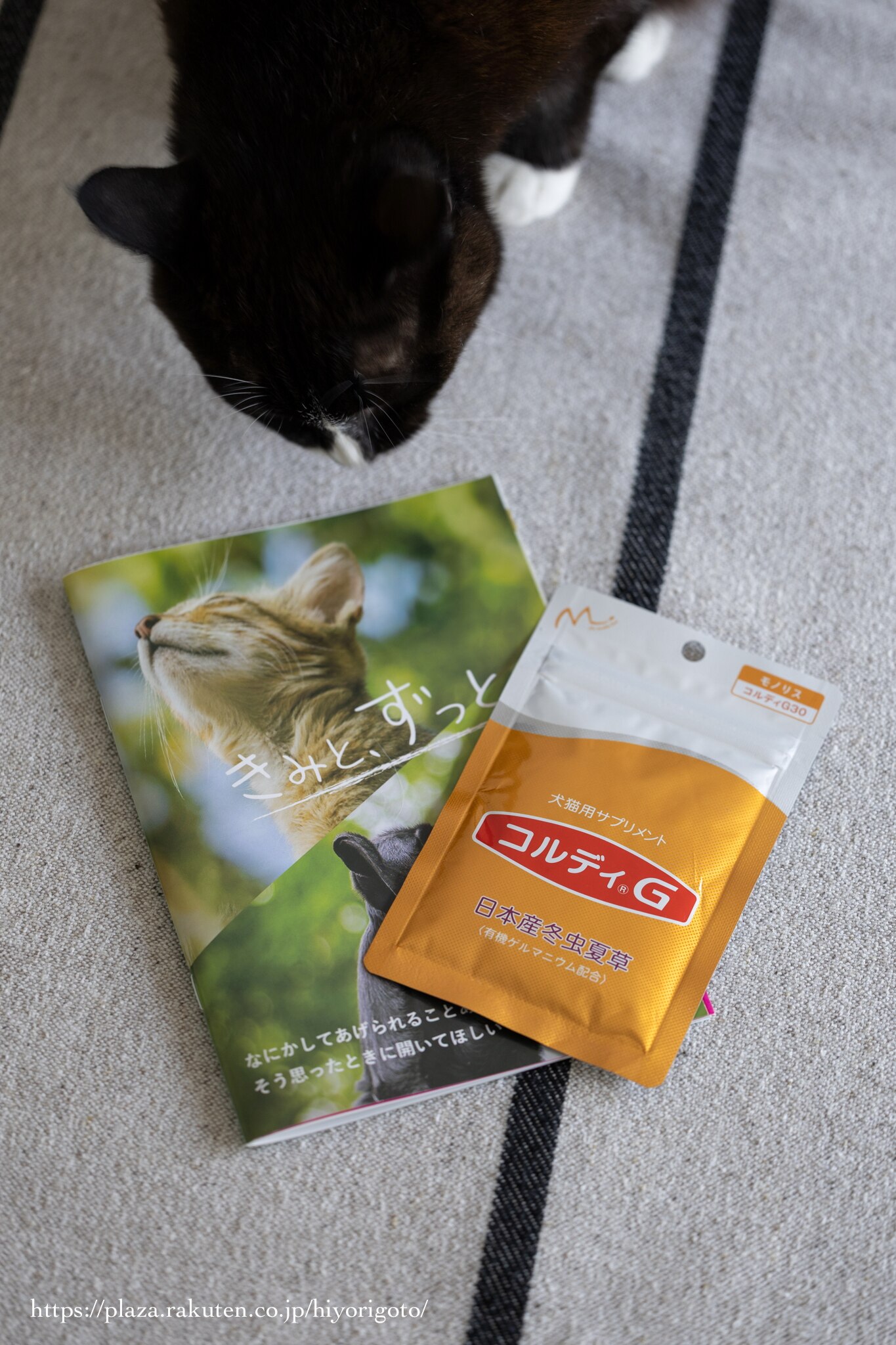 コルディ公式】コルディG M 30g 犬猫用サプリメント 冬虫夏草 粉末