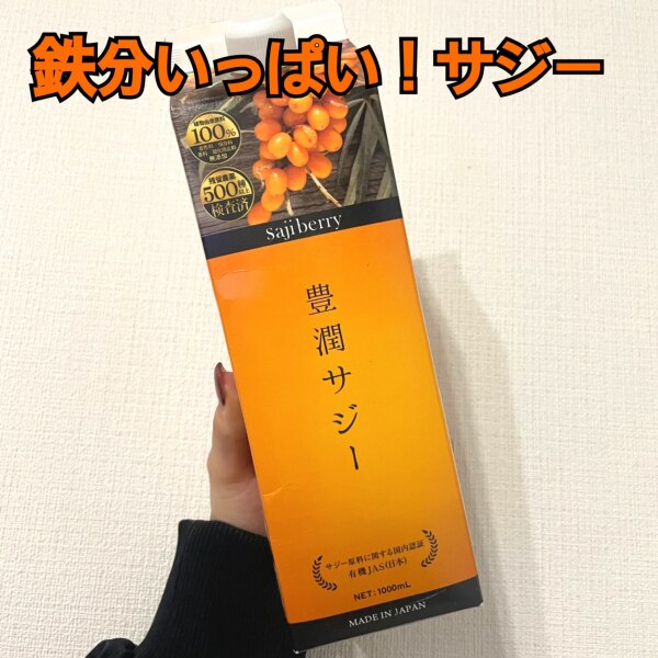 豊潤サジー 1000ml サジージュース【紙パックタイプ】 公式 フィネス 