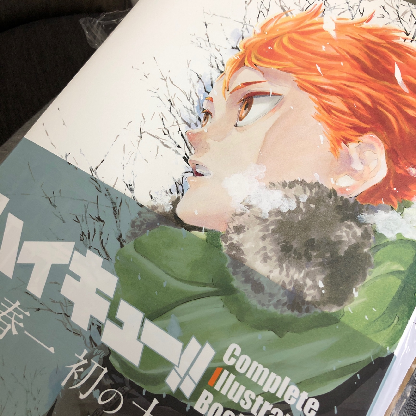 ハイキュー!! Complete Illustration Book 終わりと始まり 古舘春一 