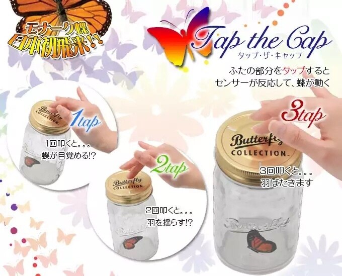 超蝶 (ちょうちょう)- キアゲハ -the Wonder Butterfly 凄すぎて笑っ