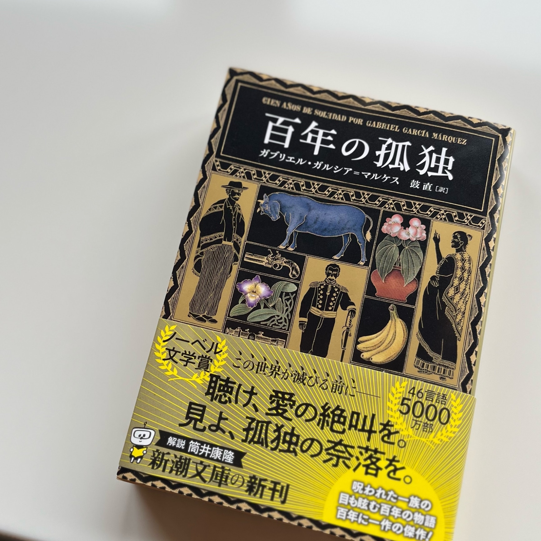 百年の孤独 (新潮文庫 カ 24-2)