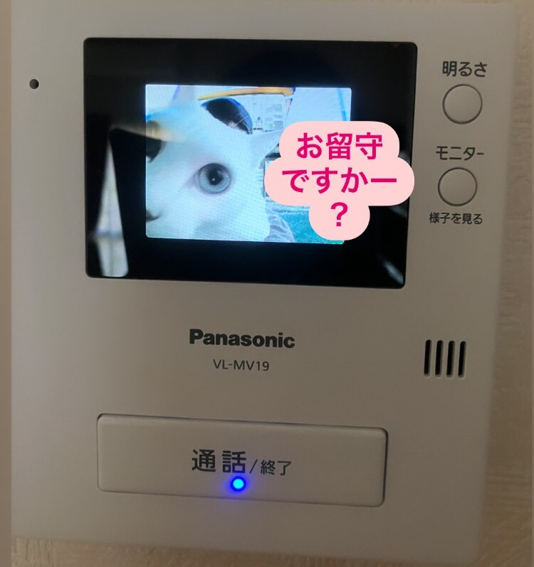 PanasonicドアフォンVL-MV19取説取り付け方法マニュアルあり - 生活家電