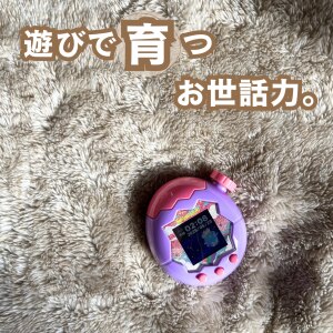 国内正規品 GLOBBER（グロッバー） エクスプローラー トライク 4in1 