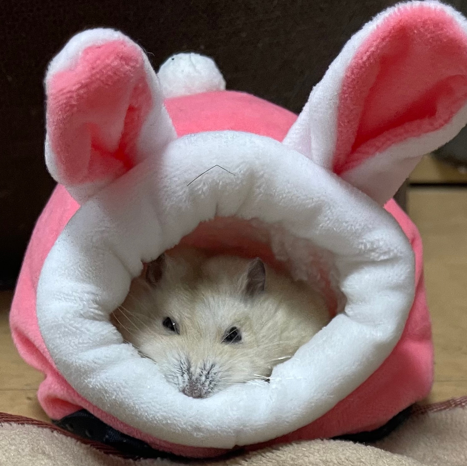 ちいかわ　まとめ売り　サンリオ　おぱんちゅうさぎ　mikko　一番くじ　雑貨 ちいかわ まとめ売り サンリオ おぱんちゅうさぎ mikko 一番くじ