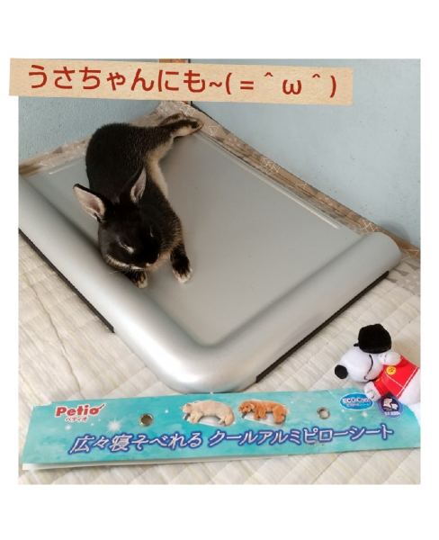 正規品! 広々寝そべれる クール アルミ ピローシート L 1個 犬 猫