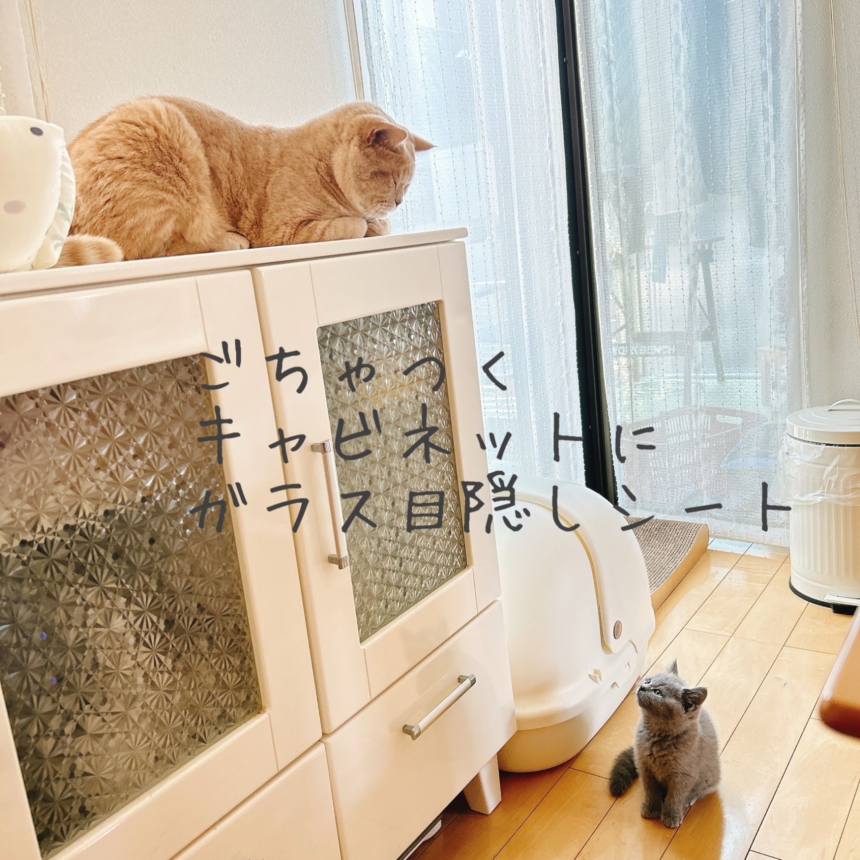 新・睡眠用たわし】 枕 ピロー 公式 元祖 たわし枕 高田耕造商店監修