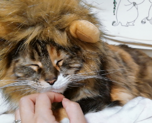 送料無料 小型犬 猫 用 ライオン変身グッズ コスプレ ペットウェア ホビー おもしろ ペット用品 Rz Tatega Room 欲しい に出会える