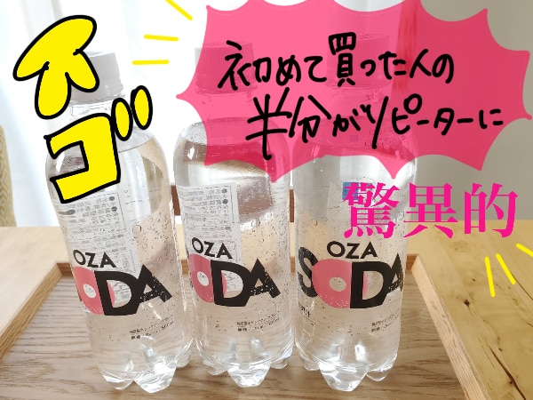 フレーバー・ラベルレス選べる】炭酸水 500ml 24本 送料無料※一部地域