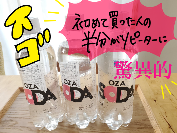 フレーバー・ラベルレス選べる】炭酸水 500ml 24本 送料無料※一部地域