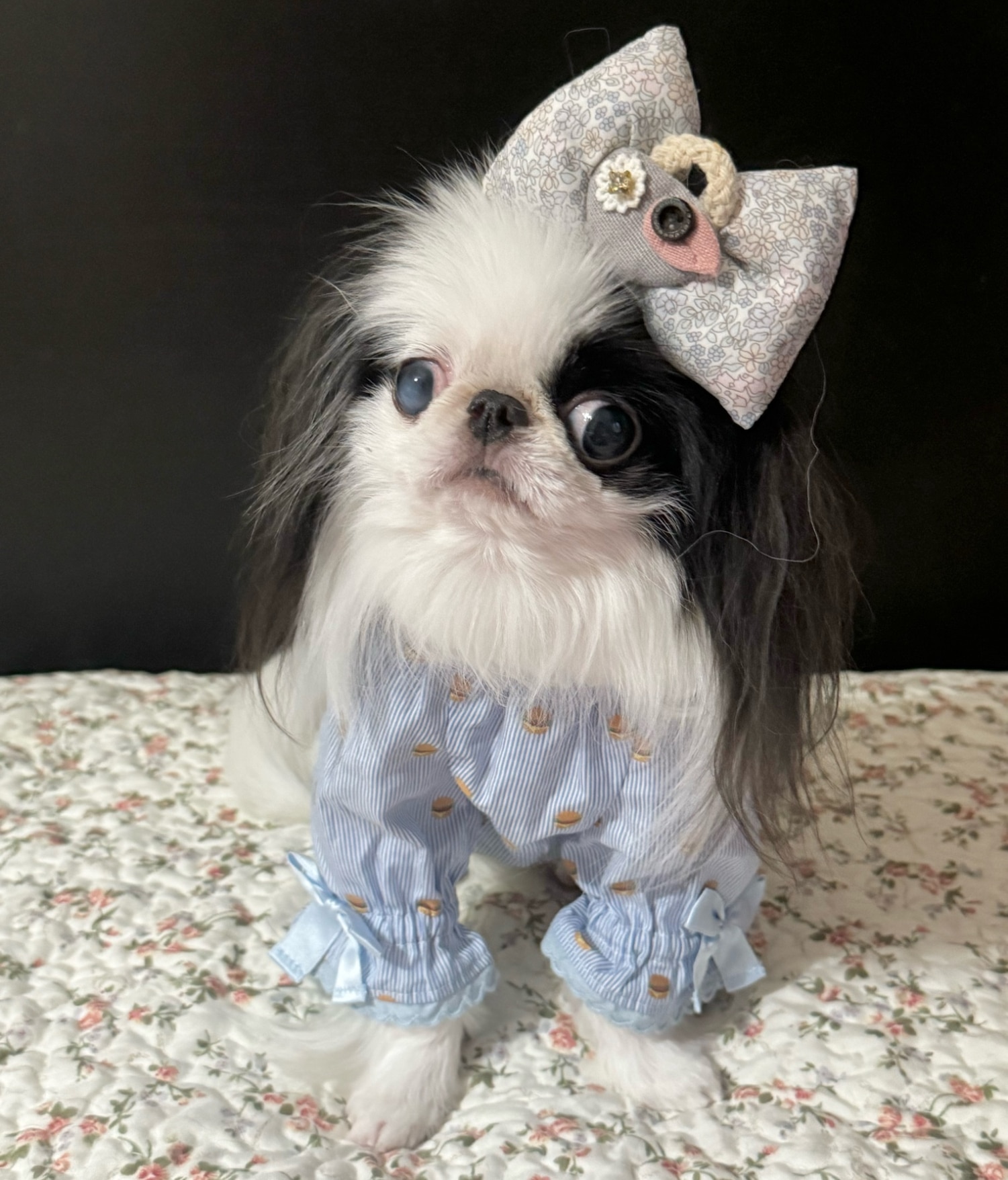 犬服GRAZYBOO LAMZ louisdog 韓国犬服 Sサイズ まとめ売り 犬服