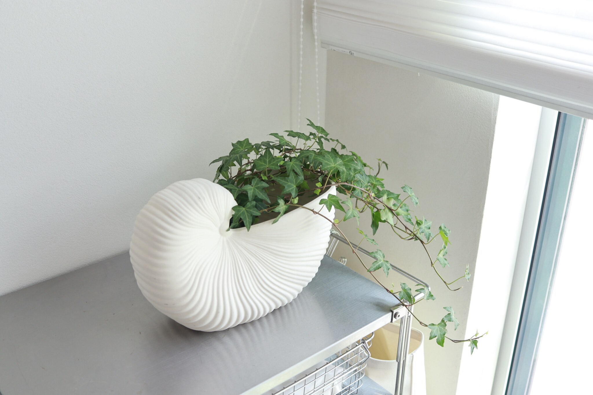 お取り寄せ】Ferm Living (ファームリビング) Shell Pot(シェル
