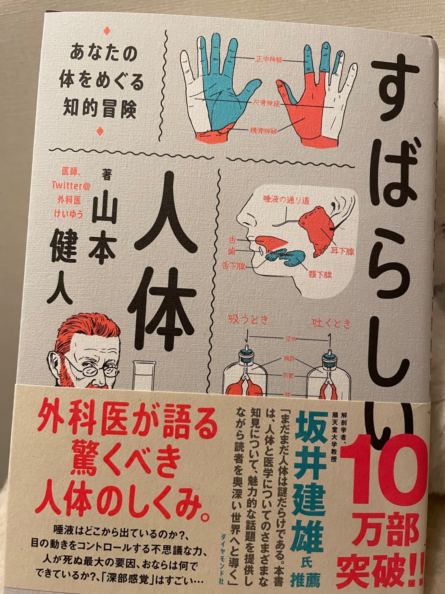 すばらしい人体 あなたの体をめぐる知的冒険 [ 山本 健人 ]