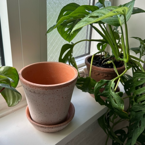 北欧 おしゃれ 植木鉢 Bergs Potter ナチュラル Helena 素焼き φ14cm 