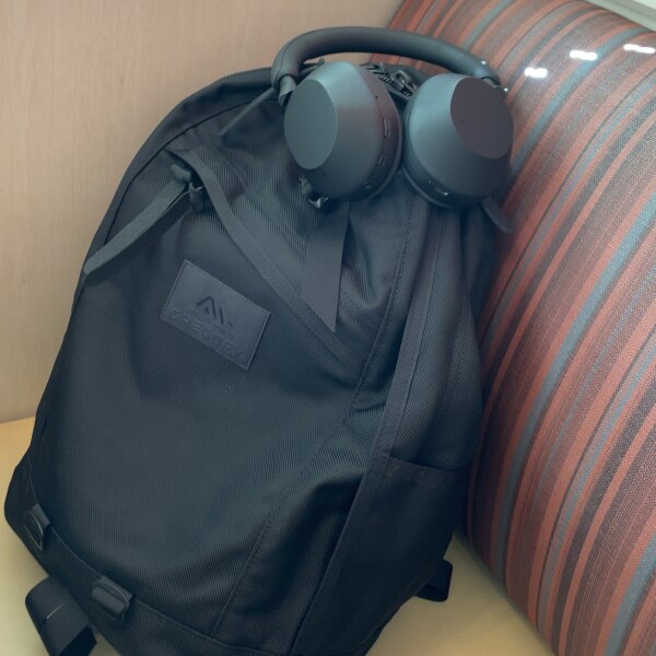 公式] グレゴリー GREGORY デイパック ダブルサイドポケット DAYPACK 