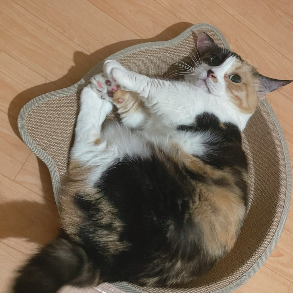 猫 ベッド 猫爪とぎ 麻 ツメとぎ トレイ 鍋型 爪磨き 猫おもちゃ ペット用品 猫用品 ストレス解消