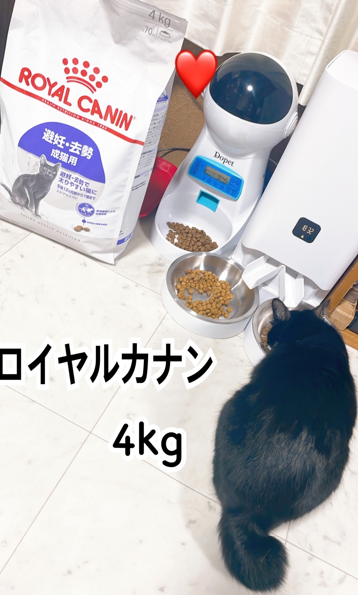 在庫あり】 ロイヤルカナン プロテインエクシジェント猫用 4kg 猫