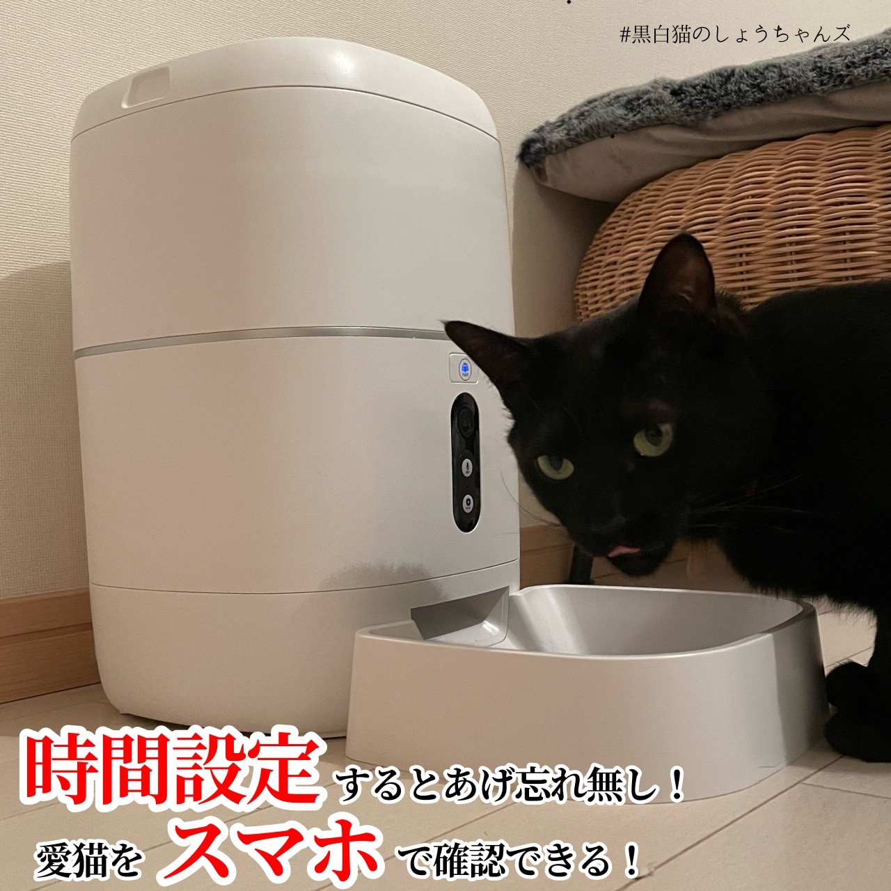 WTW 塚本無線 ペットカメラ 180度広角カメラ付自動給餌器 自動餌やり器 犬猫ごはん タイマー自動 コンセント給電可 スマホ 留守 犬 猫 餌  えさ 自動えさやり機 自動餌やり機 送料無料 旅行 防犯