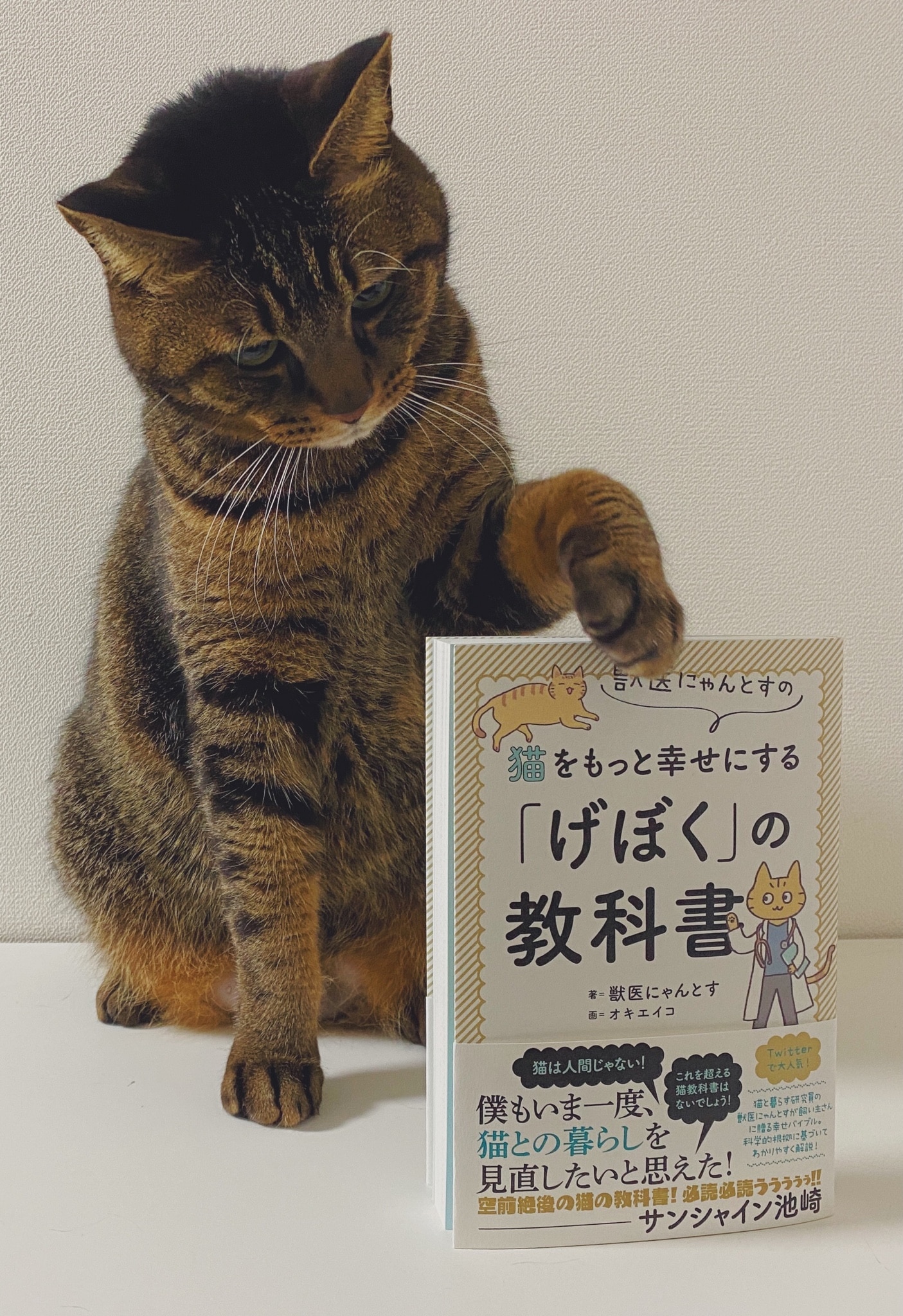 フォローする 商品10 コレクション1 いいね7 にゃんとす初の著書 この本を読めば愛猫をもっと幸せにするげぼくになれます 他の獣医さんのhow To本とは少し違い 獣医師であるにゃんとすが1人の飼い主として愛猫を幸せにする方法を書きました