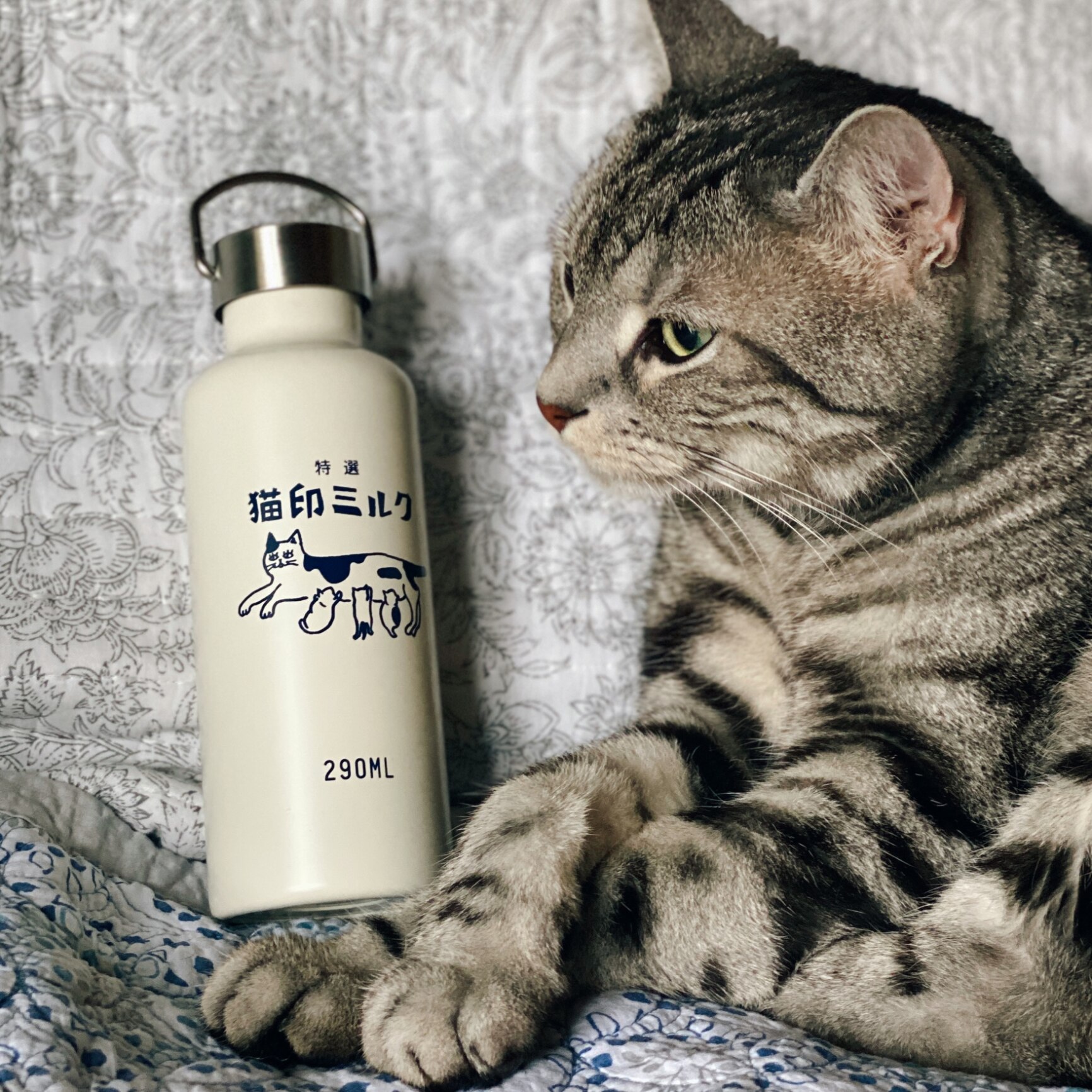 星羊社 猫印ミルク ステンレスボトル 290ml【猫好き 猫グッズ