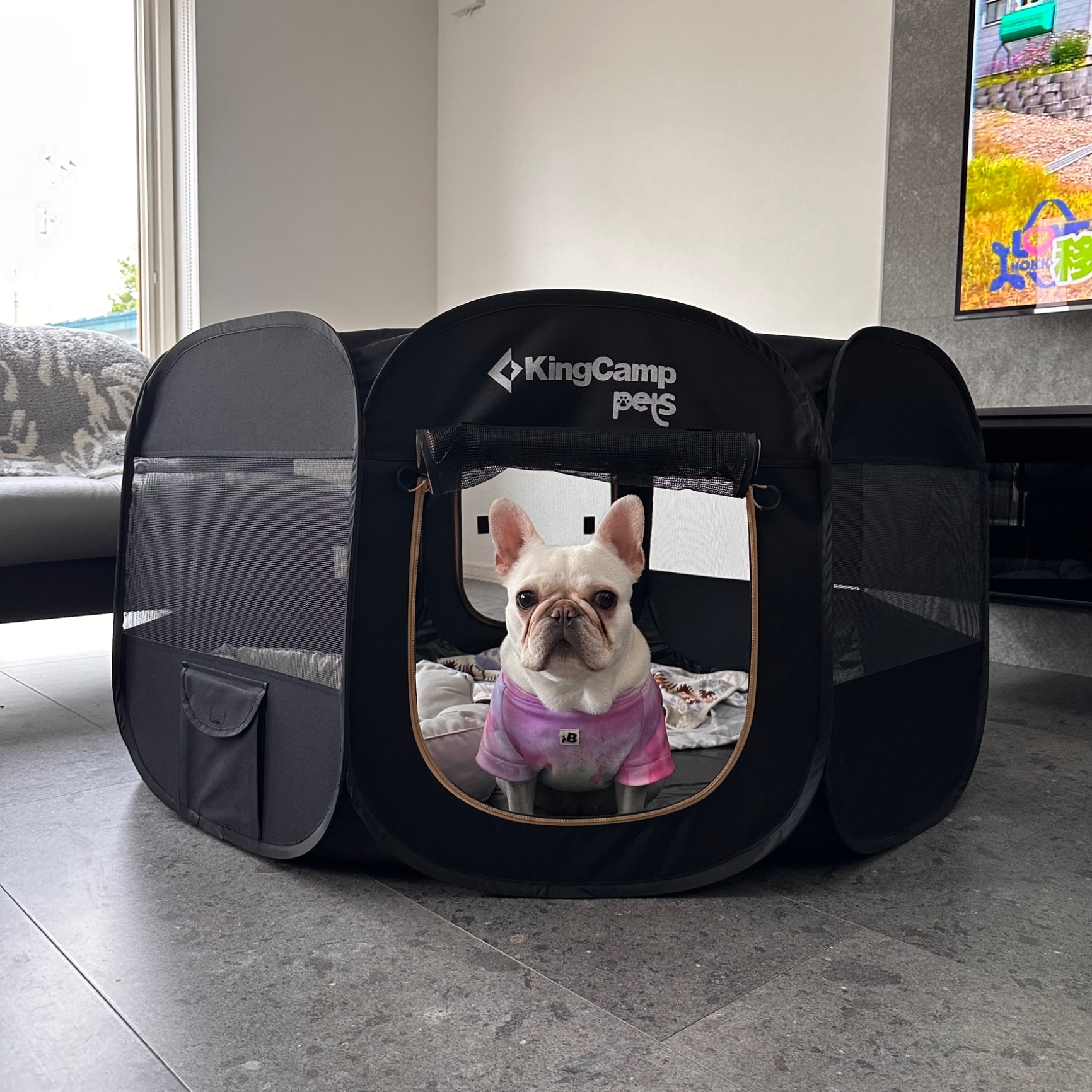 キングこま犬様☆専用  後半ページ 楽天市場】＼最大2000円OFFクーポン／ 【ブランド公式