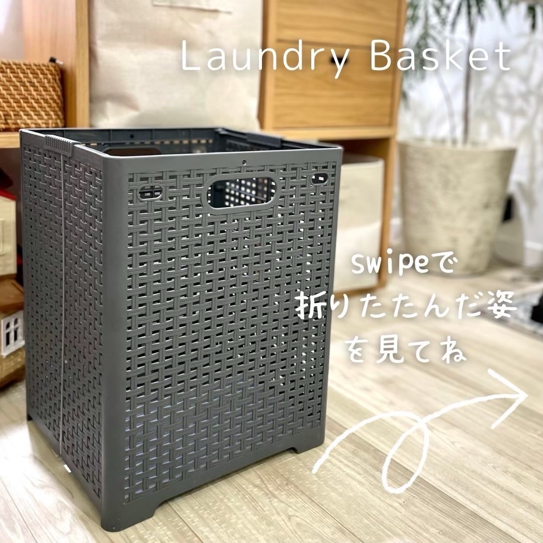 シュミディンガーモジュール　ファティーコンテナL 楽天市場】【2500】シュミディンガーモジュール / ファティー