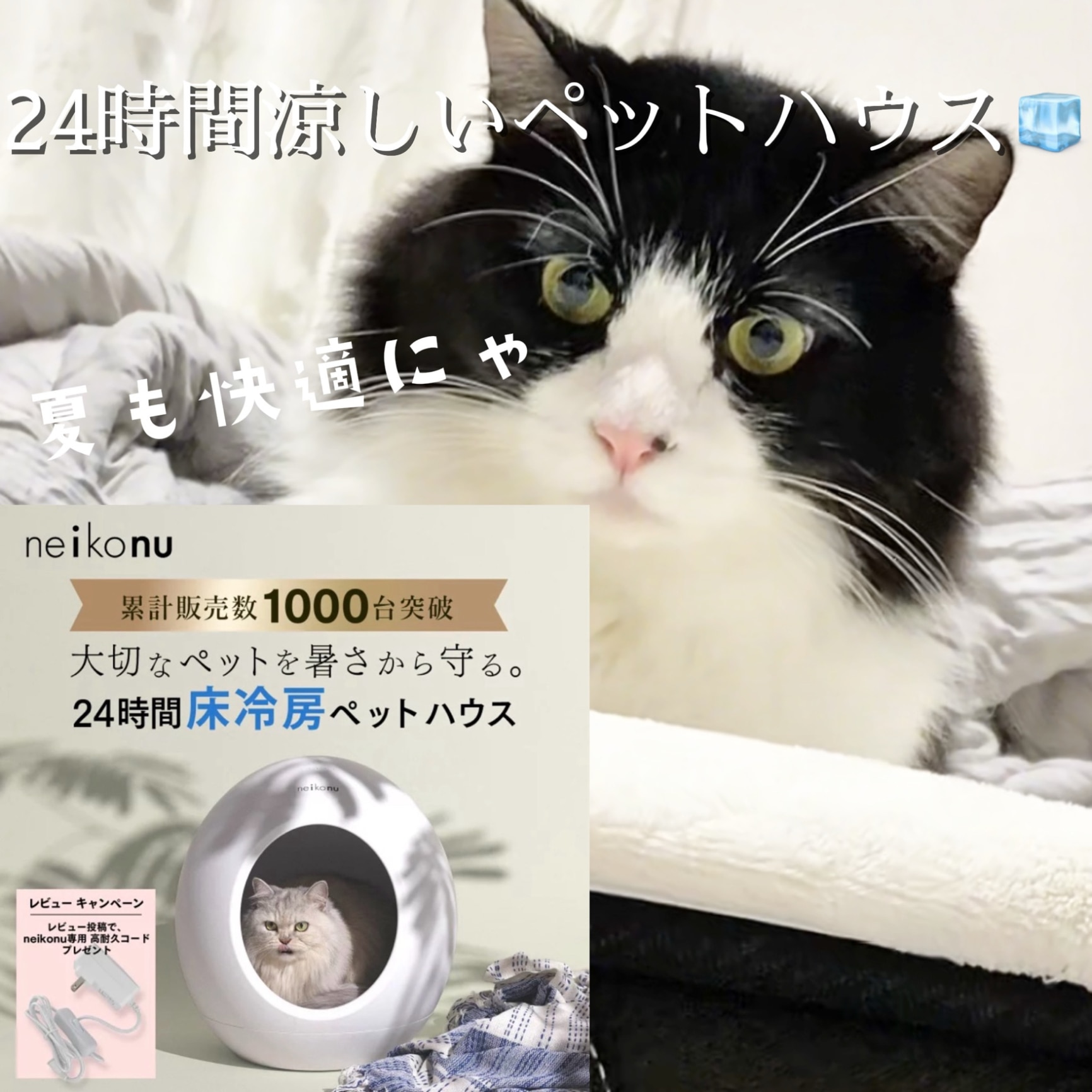 ROOM : 検索結果