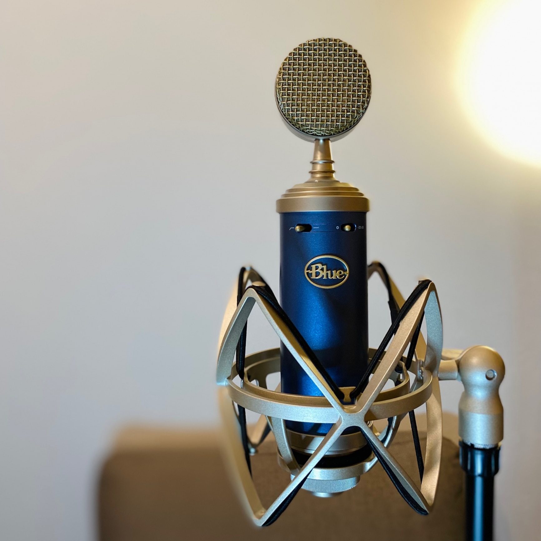 Blue Microphones Bluebird SL XLR コンデンサーマイク ブルー BM1200 