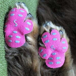 送料無料 5セット計枚 犬用足パット 滑らない 靴下 滑り止め 犬 肉球保護 小型中型大型フットパッド フットパット 保護シール ドッグダンス ペット用靴下 シール 犬 靴 足パット フローリング ペット用品 ドック用品 老犬 小物 アクセサリー Room 欲しい に 送料無料 5セット計枚 犬用足パット 滑らない 靴下 滑り止め 犬 肉球保護 小型中型大型フットパッド フットパット 保護シール ドッグダンス ペット用靴下 シール 犬 靴 足パット フローリング ペット用品 ドック用品 老犬 小物 アクセサリー Room 欲しい に
