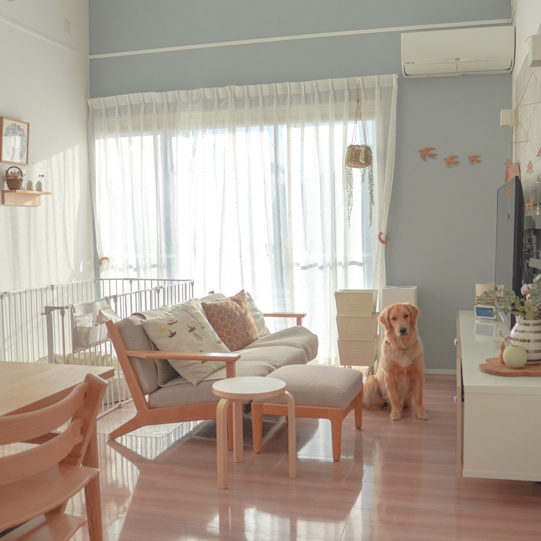 ⭐︎たぁーさん⭐︎専用ページ4セット ☆セットで1300円OFF☆【AR対応商品】犬 サークル 屋根付き