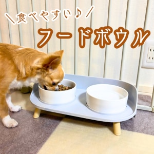 wrendale designs ⭐️ ハンナ・デール⭐️ペット用餌入れ特大　大　小 山崎実業 公式 ヌークス ペットフードボウルスタンド トール nooks 用