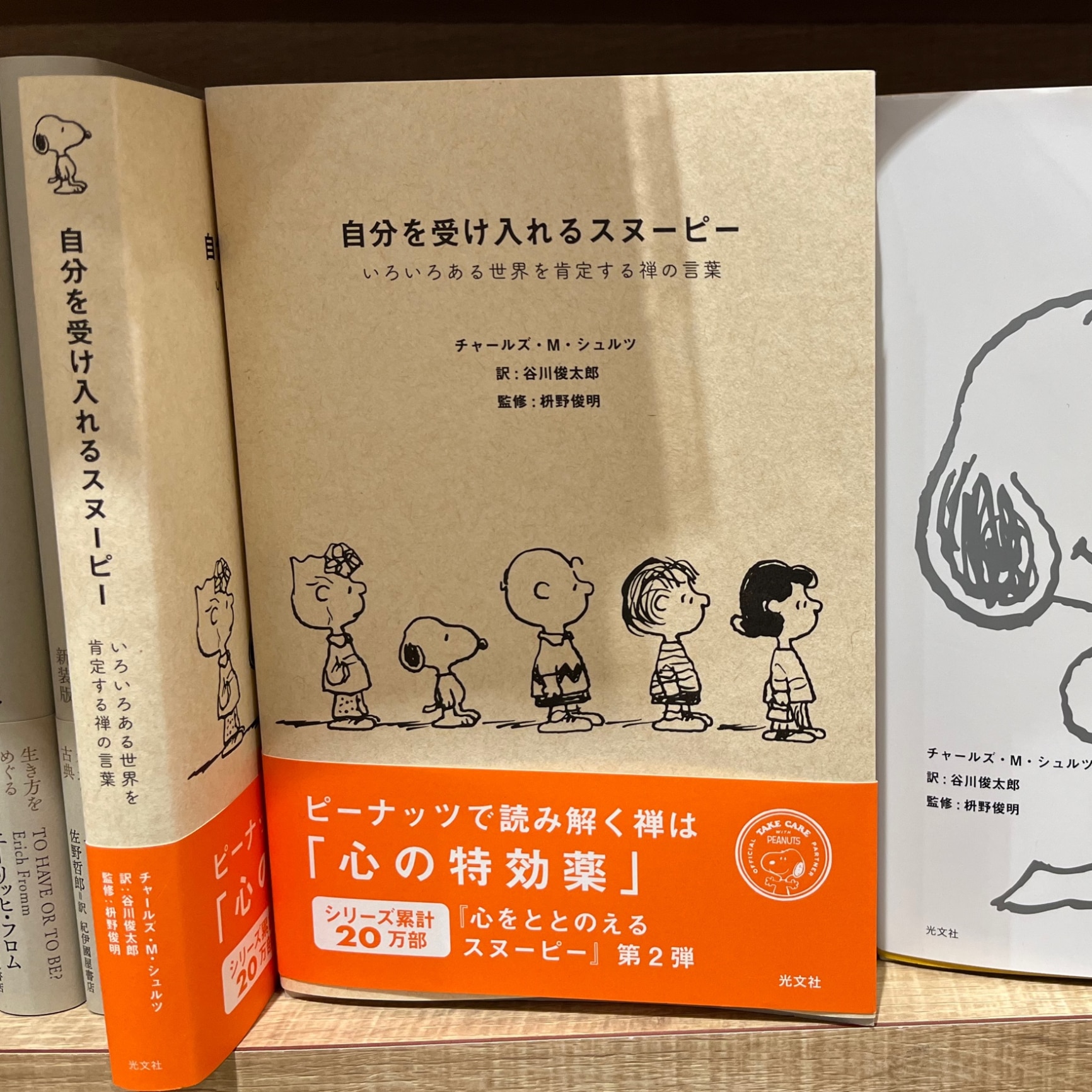 自分を受け入れるスヌーピー いろいろある世界を肯定する禅の言葉