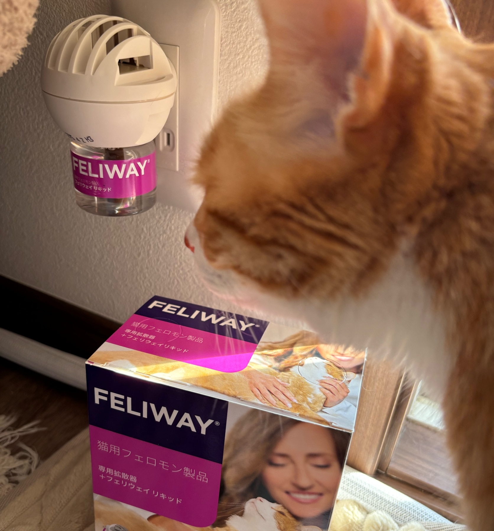 セバ・ジャパン フェリウェイ 猫用 専用拡散器1個+リキッド48mL