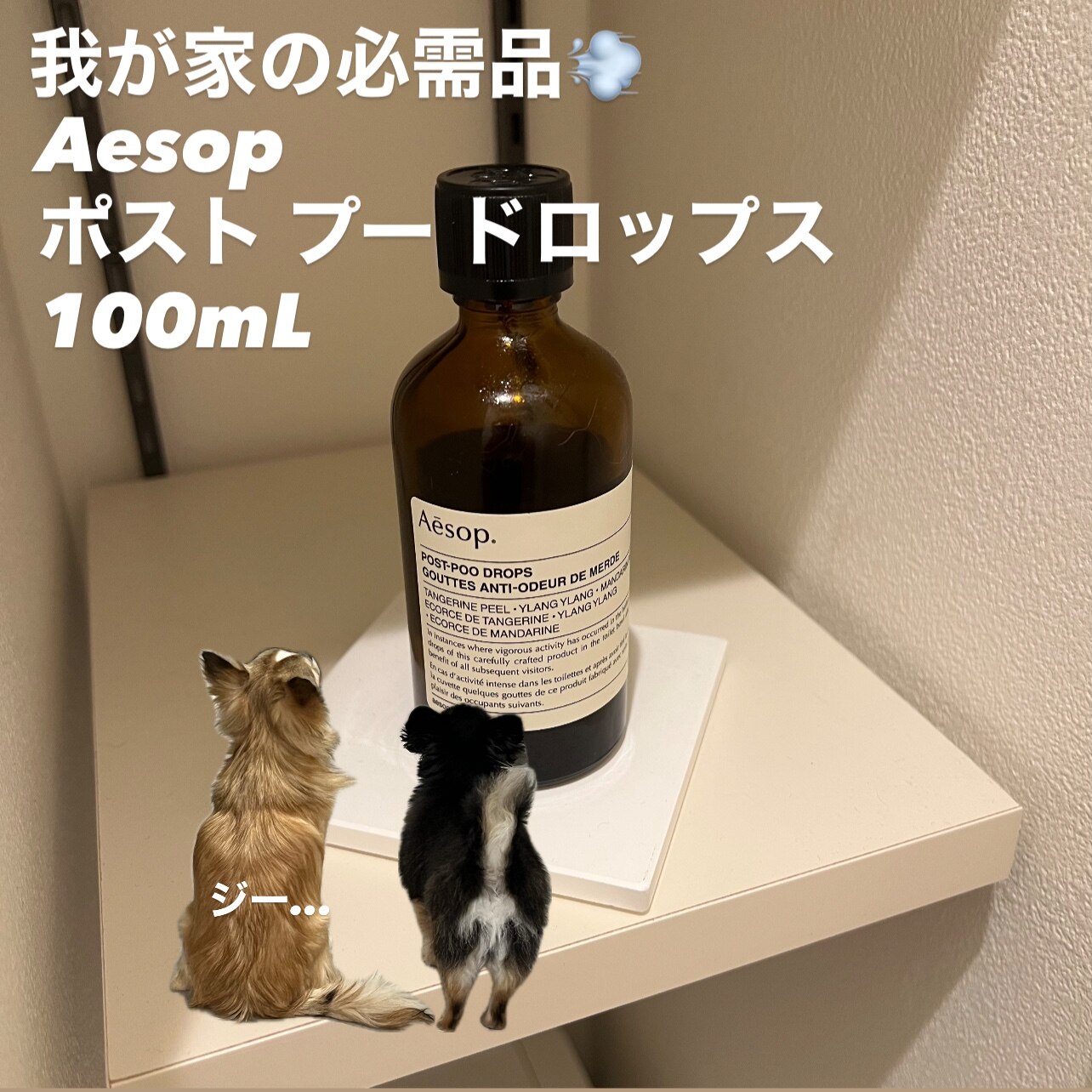 新品　ルームスプレー　と　ポストプードロップス　セット Amazon.co.jp: [ギフトボックス付き] Aesop イソップ ギフト