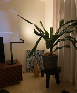 田中里奈 Tanakaofficialのroom 欲しい に出会える 田中里奈 Tanakaofficialのroom 欲しい に出会える