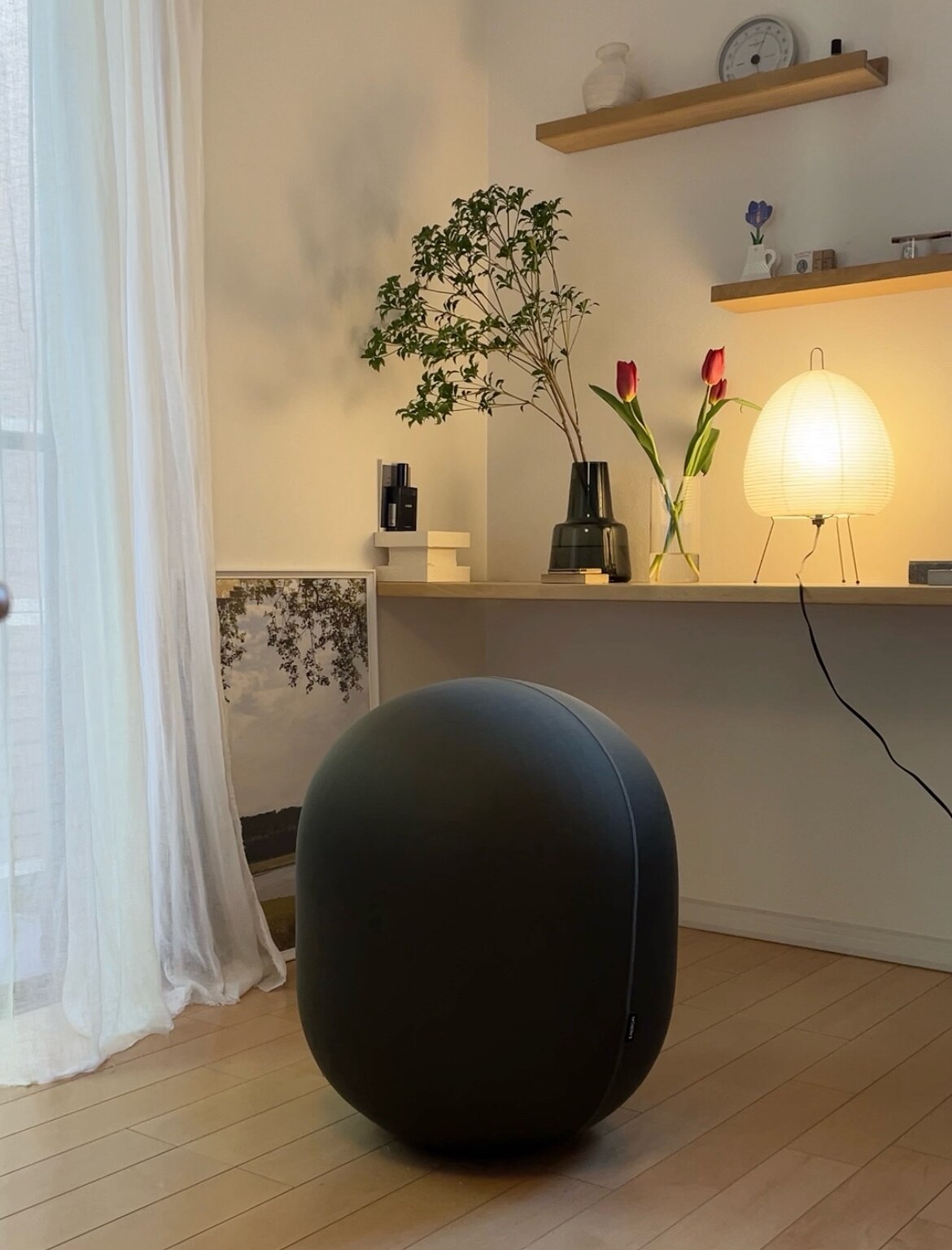 MALLOW マロウ まろー マロー エクササイズ バランスボール