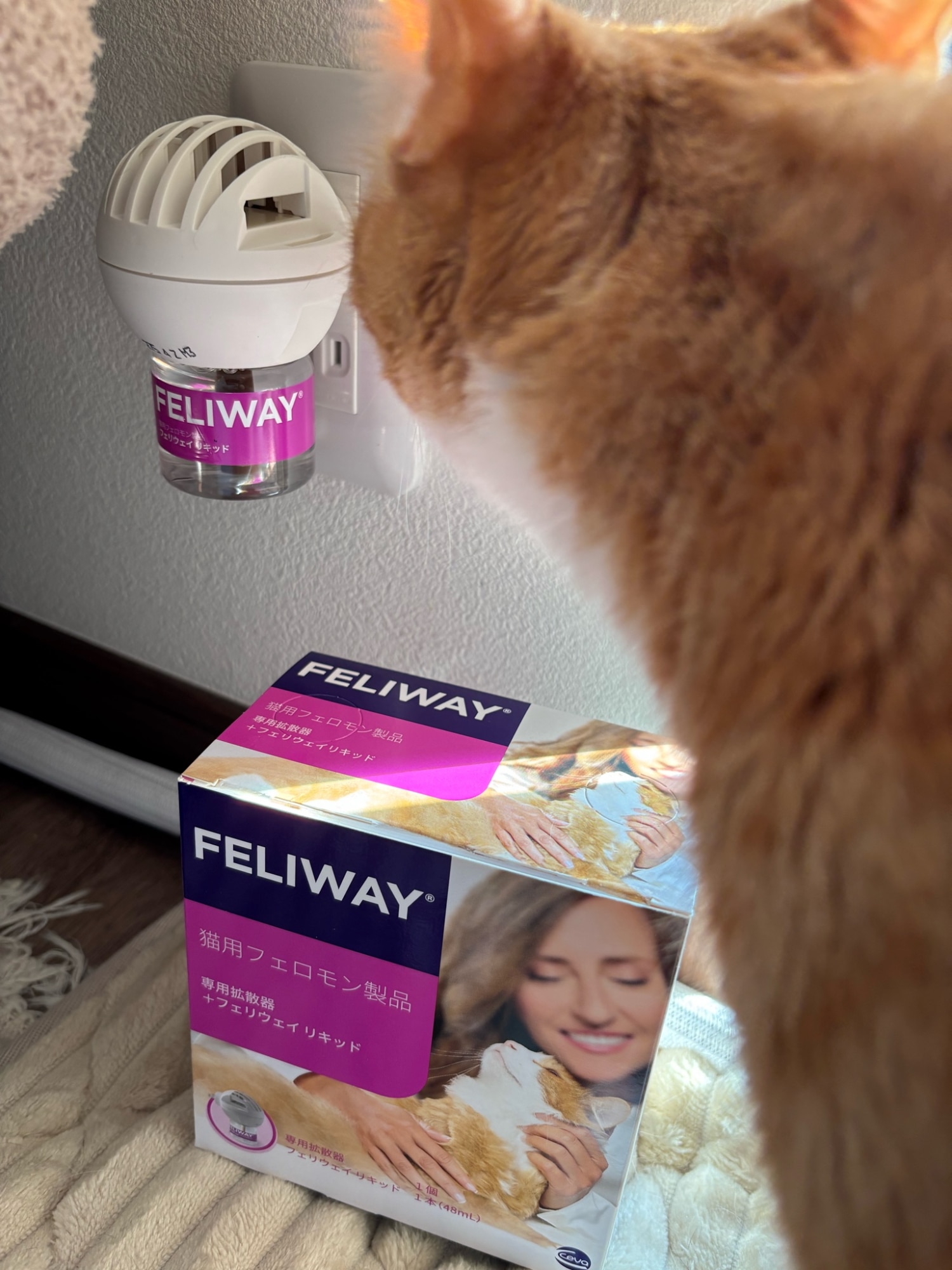 セバ・ジャパン フェリウェイ 猫用 専用拡散器1個+リキッド48mL