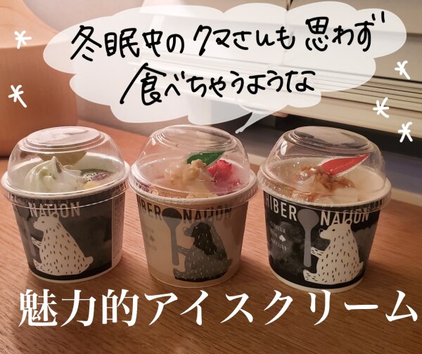 寒中見舞い ギフト アイス アイスクリーム【北海道 デコレーション